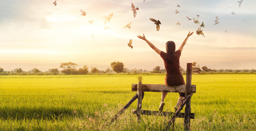 İnsanlara Saygı Politikası